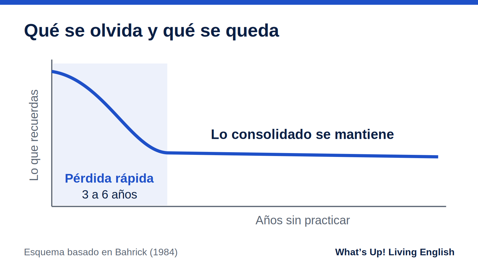 Esquema de la curva de olvido de idiomas según Bahrick